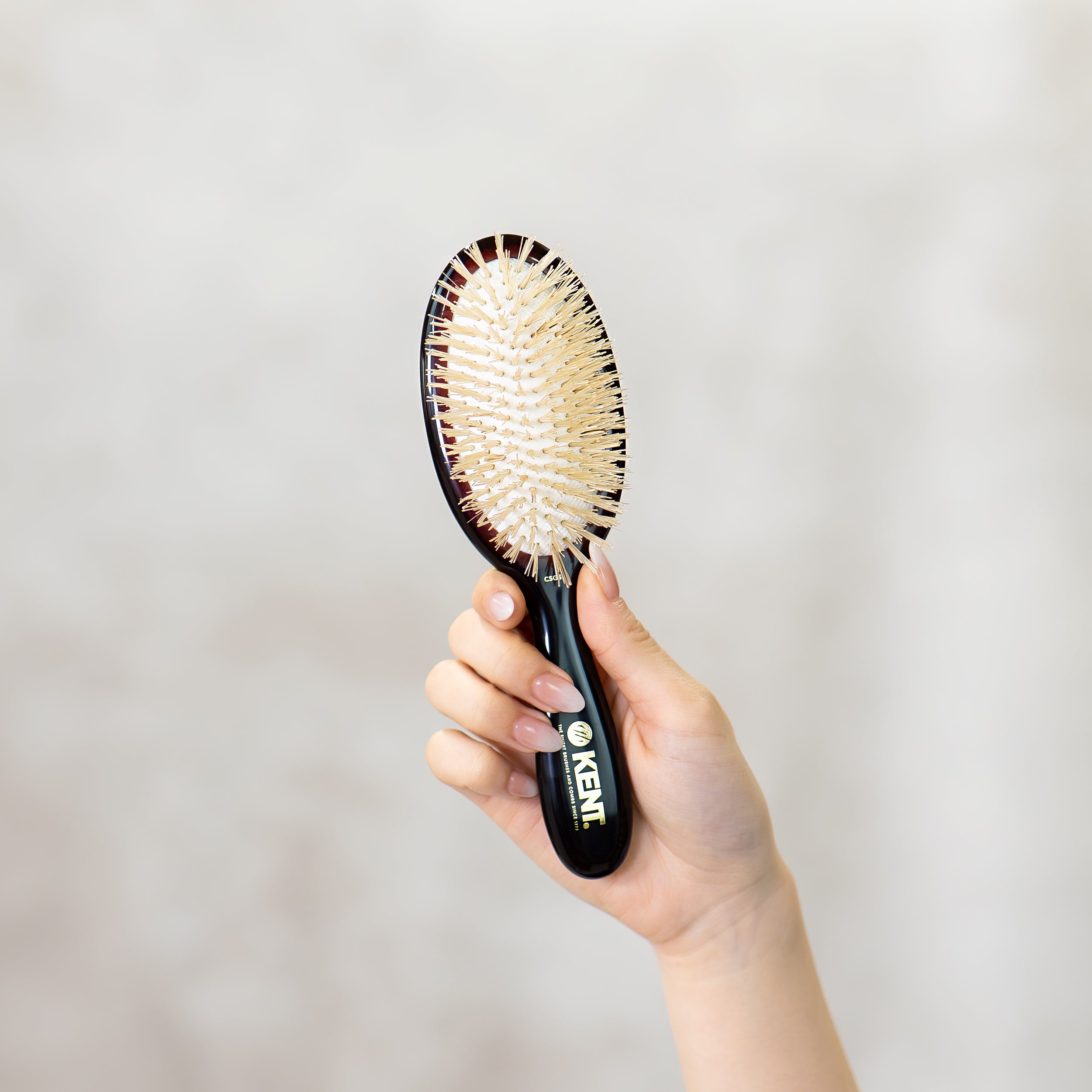 ソフトブリッスル クッションヘアブラシ スモールサイズ NEW CLASSIC SHINE CSGS 【クリーニングブラシ付き】